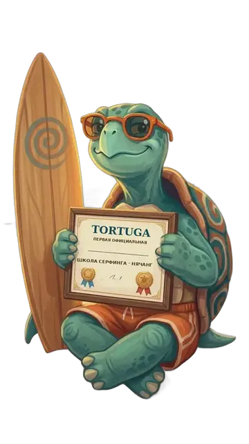 Черепаха Tortuga держит сертификат школы серфинга